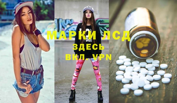 дмт Алзамай